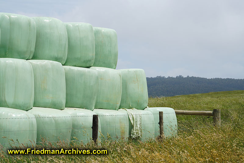 agriculture,hay,harvest,autumn,horses,field,landscape,